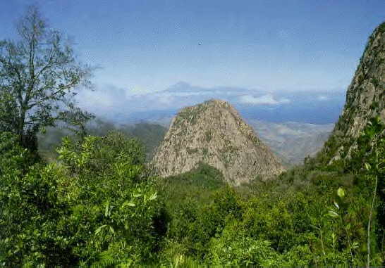 La Gomera: Agando